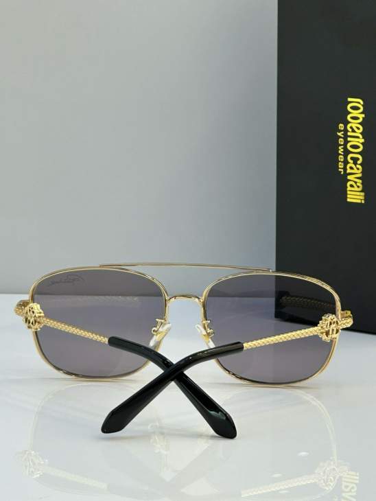Picture of Roberto Cavalli Sunglasses _SKUfw65039861fw